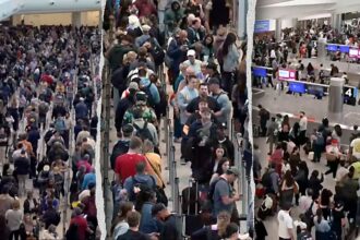 LIZ PEEK: Voters tell Congress 'do your job' and end the DHS showdown