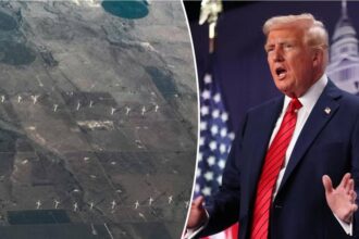 NEWT GINGRICH: What Trump can teach us about energy and Americas future