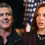 LEE CARTER: I study polling. Democrats are gambling on anti-Trump votes, not ideas