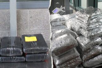 Massive Mexico-California border busts uncover eye-popping amount of drugs: 'Remain vigilant'
