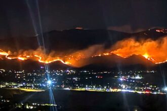 Nevada brush fire spreads to 10,500 acres as governor declares state of emergency