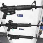 Federal appeals court rules some nonviolent felons can legally own guns