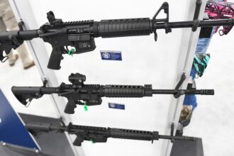 Federal appeals court rules some nonviolent felons can legally own guns
