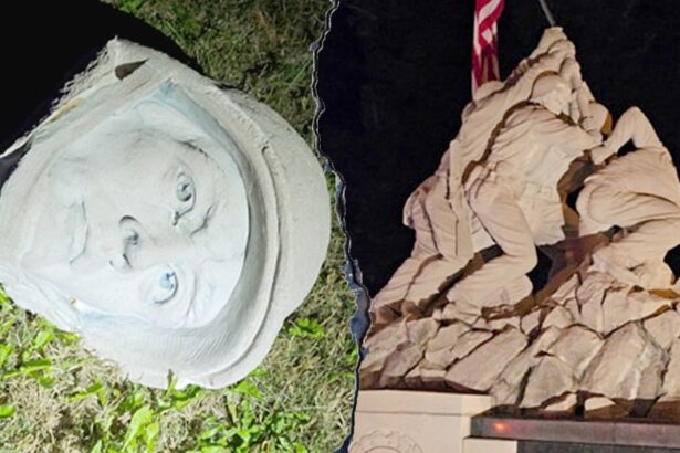 Illegal immigrant accused of beheading Iwo Jima monument granted bond