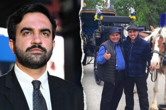 Mamdani praised over move to dismantle controversial NYC industry â but insiders say theres more to the story