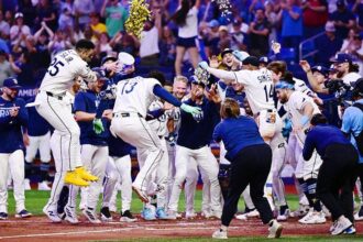 Nick Martinez looks to shut the door on the New York Yankees as Rays take 2-0 series lead